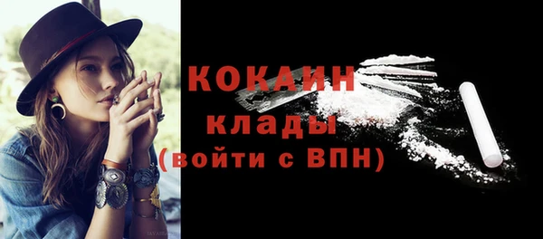 дживик Баксан