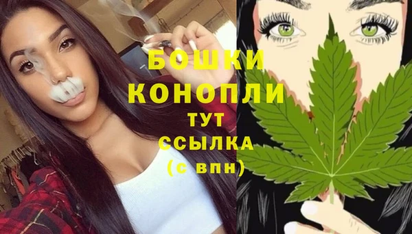 a pvp Аркадак