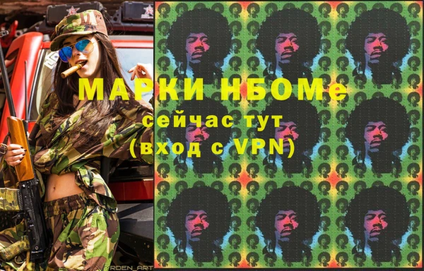 гашик Сосновый Бор