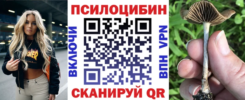 где найти наркотики  Болохово  Псилоцибиновые грибы ЛСД 
